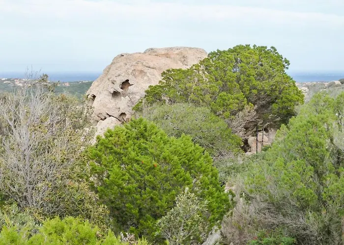 Bgitalianvacation - Domus Di Pitrizza *